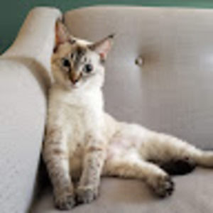 Meet your Posher, Sara